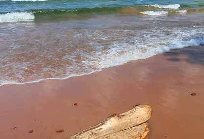 Community Image of Lake Michigan Real Estate Spring Lake Michigan